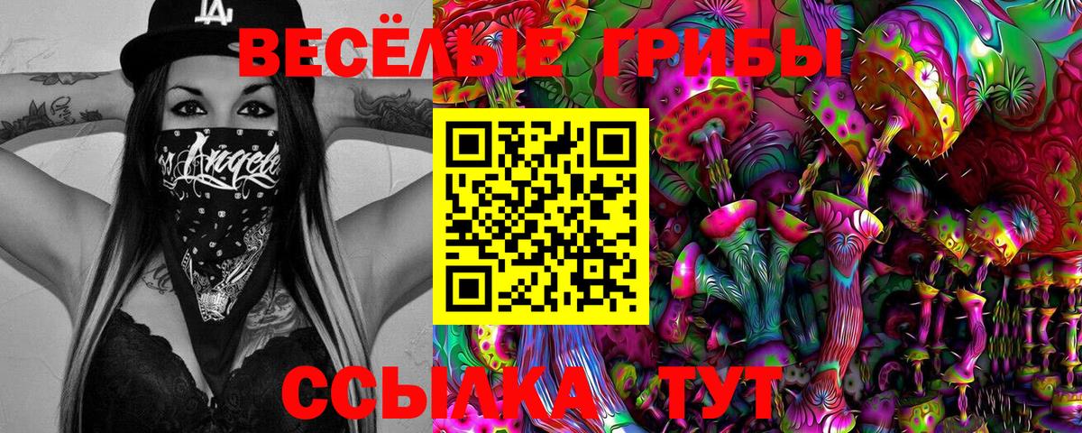Ржев  Псилоцибиновые грибы Cubensis  Вход с VPN 